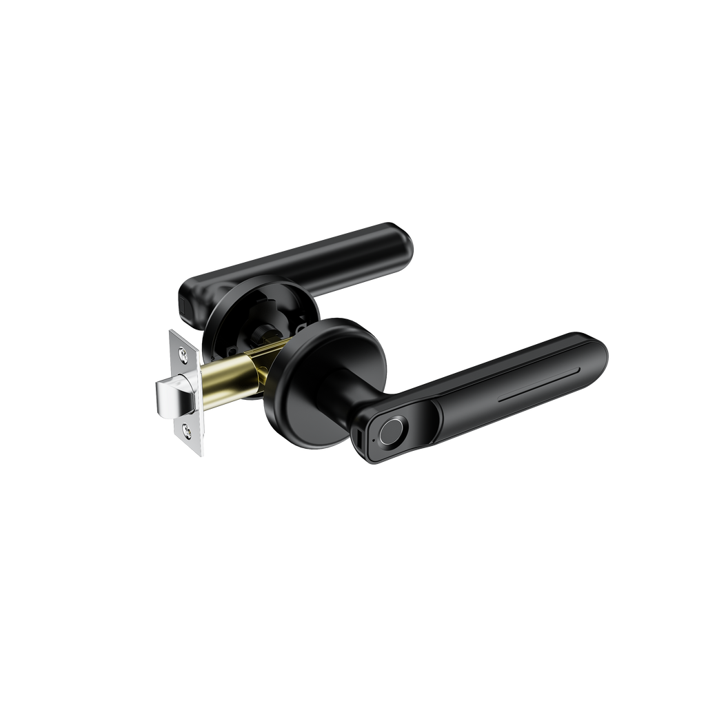 Fingerprint Door Lock, Door Locks for Bedrooms, Keyless Entry Door Lock with Fingerprint/Key